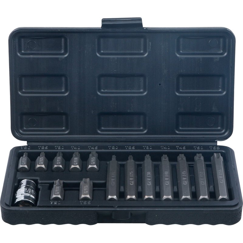 Bitsæt | udvendig sekskant 10 mm (3/8") | T-profil (til Torx) | 15 dele